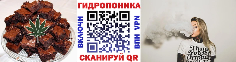 Canna-Cookies марихуана  Купить закладки  Чистополь 
