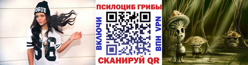 Купить где  Чистополь  Псилоцибиновые грибы прущие грибы 